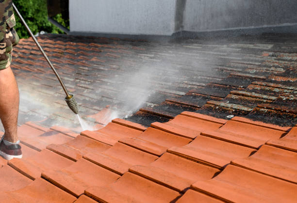 Professional Pressure Washing in Rose Lodge, OR